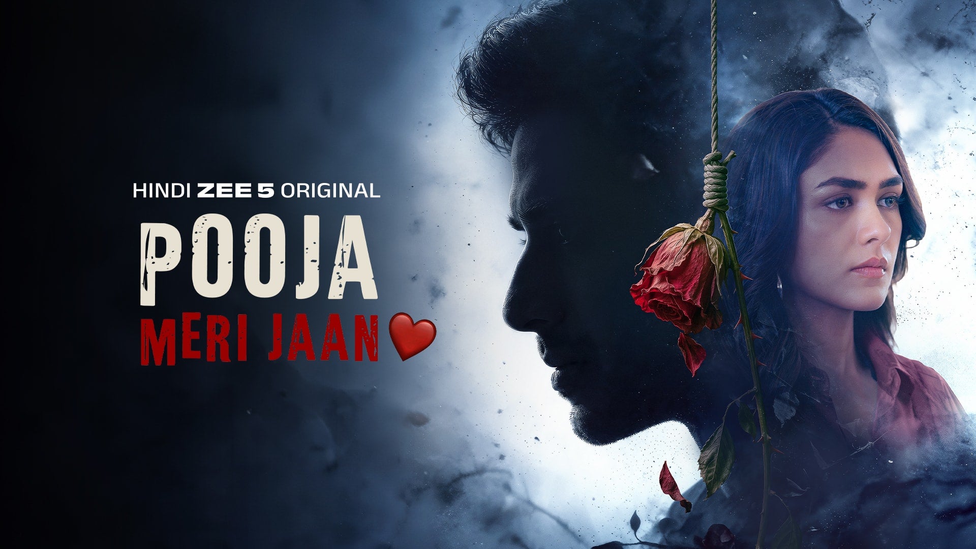 Pooja Meri Jaan on Zee5