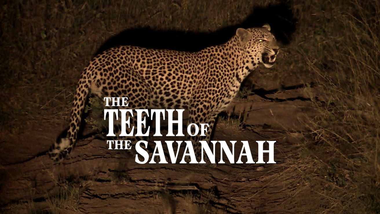 The Teeth of the Savannah on Discovery Plus
