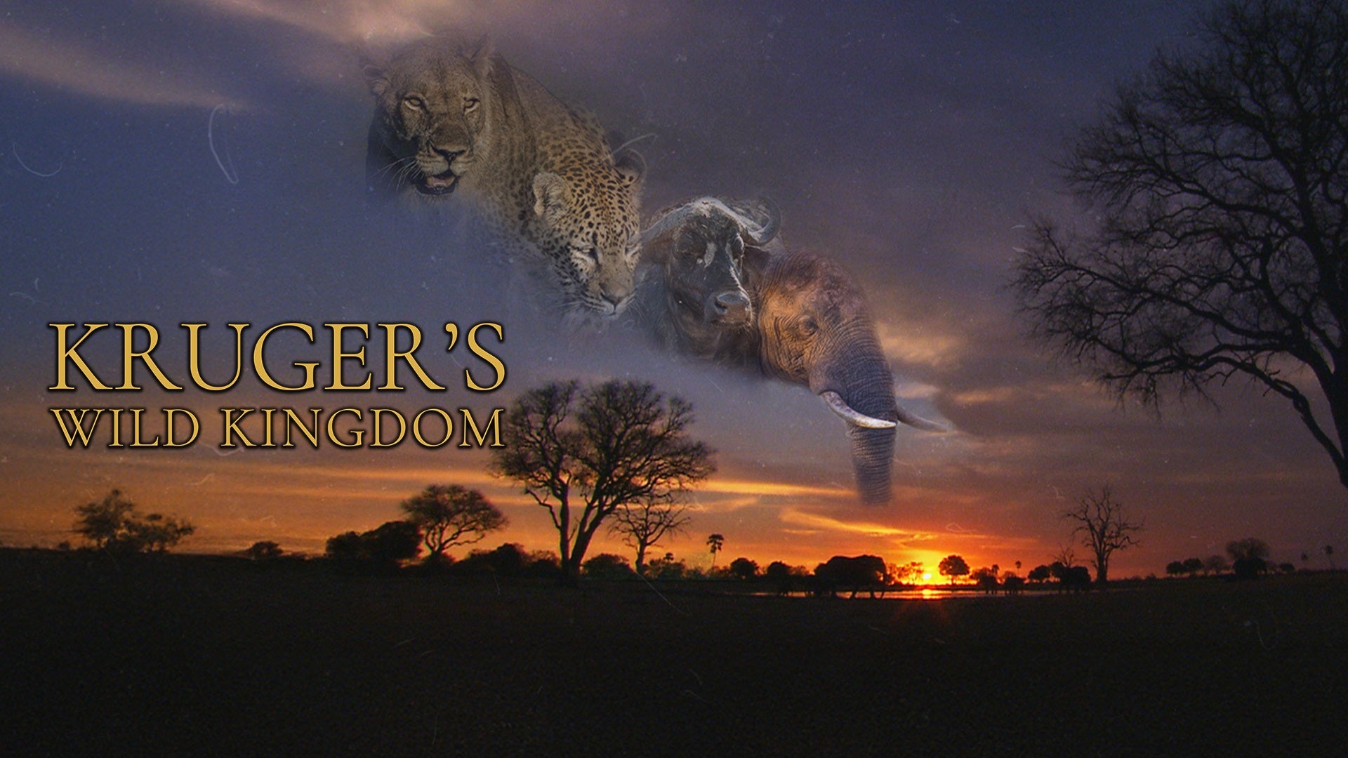 Kruger’s Wild Kingdom on Discovery Plus