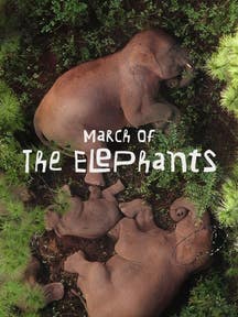 March Of The Elephants on DiscoveryPlus