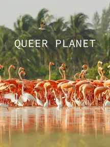 Queer Planet on Discovery Plus