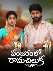 Panjaram lo Ramachiluka on Zee5