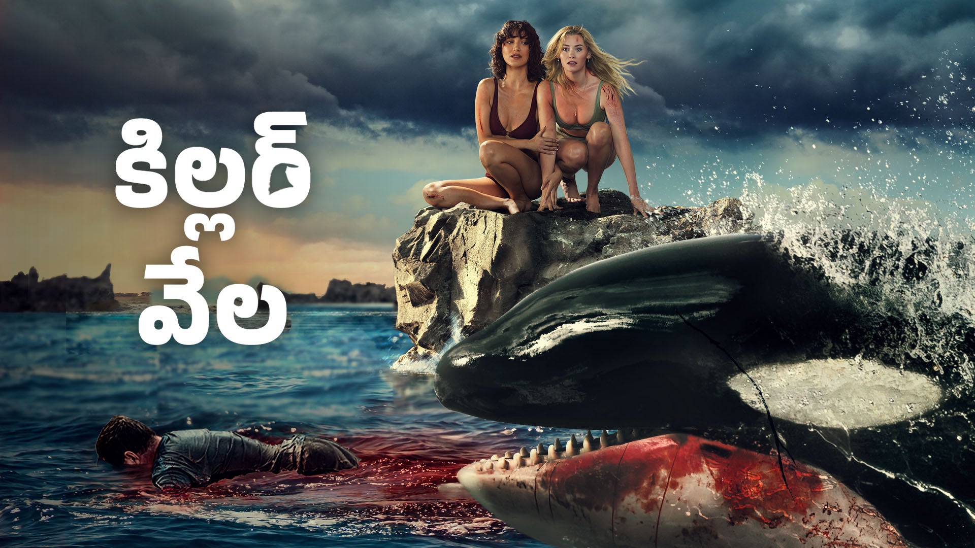 Killer Whale on LionsGate Play