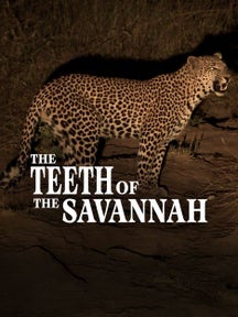 The Teeth of the Savannah on Discovery Plus